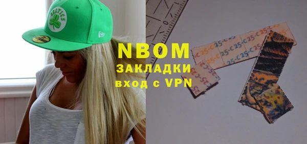 мдпв Рославль